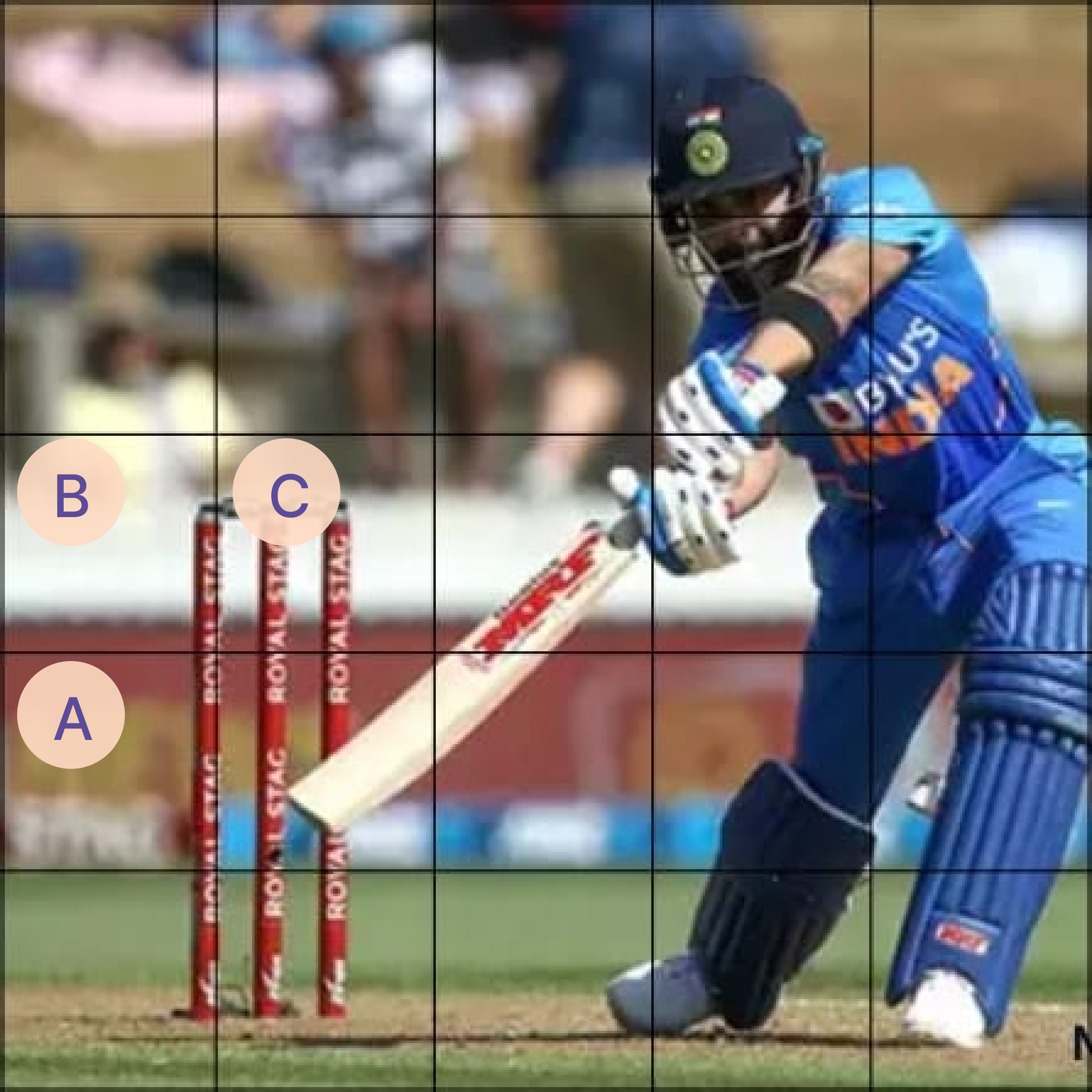 Spot the Ball question Image